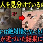 レス24番の画像3