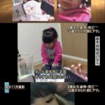 レス22番の画像2