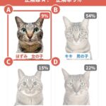 レス20番の画像1