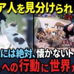 レス24番の画像1